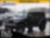1C4HJWDG7GL154207-2016-jeep-wrangler-0