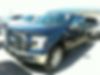 1FTEW1EFXGFA65548-2016-ford-f-150-0