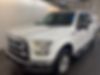 1FTEW1EP5HKD96197-2017-ford-f-150-0