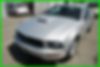 1ZVFT80N375308916-2007-ford-mustang-0