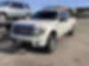 1FTFW1E62BFB02363-2011-ford-f-150-0