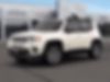 ZACNJDD1XMPM73950-2021-jeep-renegade-1