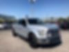 1FTEW1CF8GFC00206-2016-ford-f-150-0