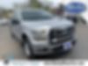 1FTEW1E84FFB02447-2015-ford-f-150-0