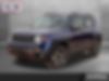 ZACNJDC12MPM30995-2021-jeep-renegade
