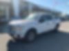 1FTEW1EF7GFC00064-2016-ford-f-150-1