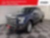 1FTEW1EF9GFA86231-2016-ford-f-150