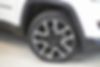 3C4NJDCB0JT176235-2018-jeep-compass-2