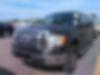 1FTEW1E81AFB31168-2010-ford-f-150-0