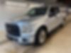 1FTEW1CP0GKF96261-2016-ford-f-150-0