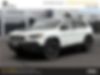 1C4PJMBX0MD214529-2021-jeep-cherokee