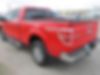 1FTFW1ET5DFD03781-2013-ford-f-150-2