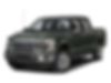 1FTEW1CP3FFB30184-2015-ford-f-150-0
