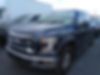 1FTEW1E84FFB15411-2015-ford-f-150-0