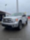 1FTEW1CM6DKD88385-2013-ford-f-150-0