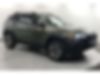 1C4PJMBX0LD633009-2020-jeep-cherokee-0