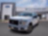 1FTEW1CP4LKD17369-2020-ford-f-150-0