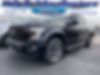 1FTEW1EP1GFA99564-2016-ford-f-150-0