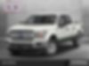 1FTEW1C51JKD31497-2018-ford-f-150-0