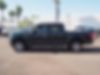 1FTEW1E82FFB24303-2015-ford-f-150-1