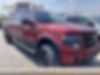 1FTFW1ET1DFD21856-2013-ford-f-150-0