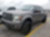 1FTFW1ET8BFC05230-2011-ford-f-150