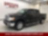 1FTFW1ET5DFD65536-2013-ford-f-150-0