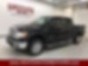 1FTFW1ET5DFD65536-2013-ford-f-150-0