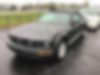 1ZVHT84N385190693-2008-ford-mustang-0