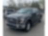 1FTEW1EP1GFA44600-2016-ford-f-150-0