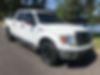 1FTFW1ET2BKE02563-2011-ford-f-150-0