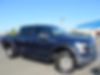 1FTEW1E84FFB15411-2015-ford-f-150-2