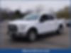 1FTEW1EP8HFA53831-2017-ford-f-150-2