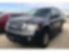 1FMJU1G52BEF25126-2011-ford-expedition-0
