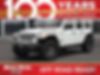 1C4HJXFN2MW696536-2021-jeep-wrangler-unlimited