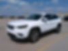 1C4PJMDN3KD100565-2019-jeep-cherokee-0
