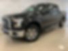 1FTEW1EF3FKD16609-2015-ford-f-150-1