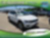 3VV3B7AX8MM102436-2021-volkswagen-tiguan-0