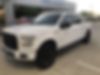1FTEW1EP2GKF83685-2016-ford-f-150-0