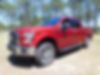 1FTEW1EP6GFC04681-2016-ford-f-150-2