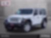 1C4HJXDG9JW161686-2018-jeep-wrangler-0
