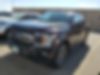 1FTEW1E52JFB59258-2018-ford-f-150