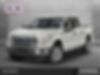 1FTEW1CP3FKD46396-2015-ford-f-150-0