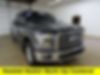1FTEW1EP0HFA73796-2017-ford-f-150-0
