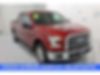 1FTEW1CP6GFB07919-2016-ford-f-150