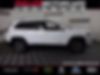 1C4PJMDNXLD502052-2020-jeep-cherokee-1