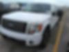 1FTFW1ET4BKE11636-2011-ford-f-150-0