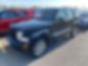 1C4PJMAK5CW164672-2012-jeep-liberty