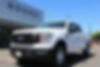 1FTFW1E88MKD91101-2021-ford-f-150-0