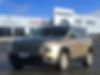 1C4PJLCB7GW347553-2016-jeep-cherokee-0